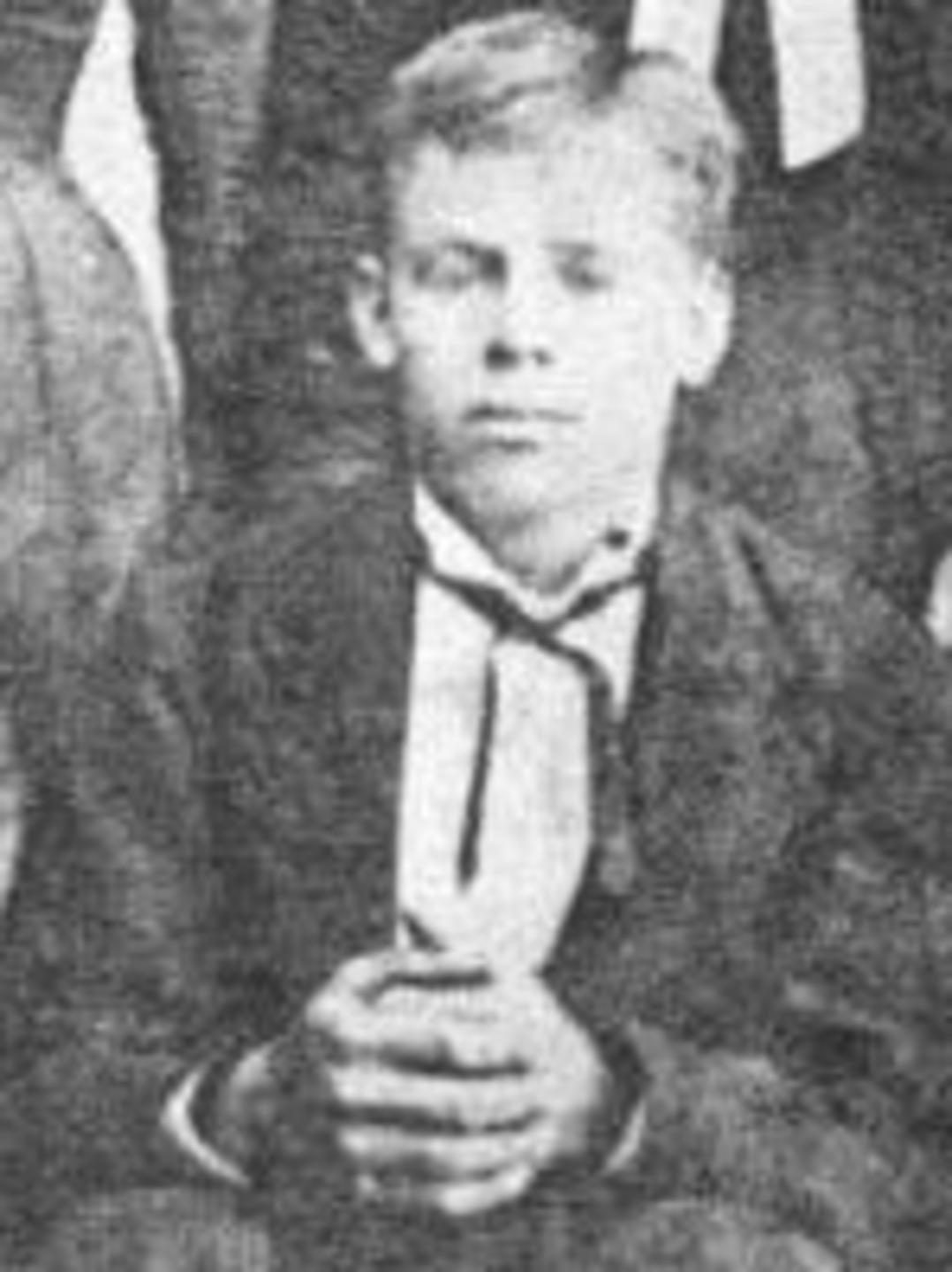 William Wesley Haws (1847 - 1926) Profile